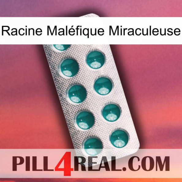 Racine Maléfique Miraculeuse dapoxetine1